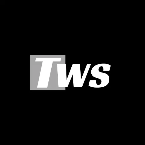 Taibouni Web Solution Logo Taibouni Web Solution