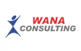 Wana Consulting Logo Wana Consulting